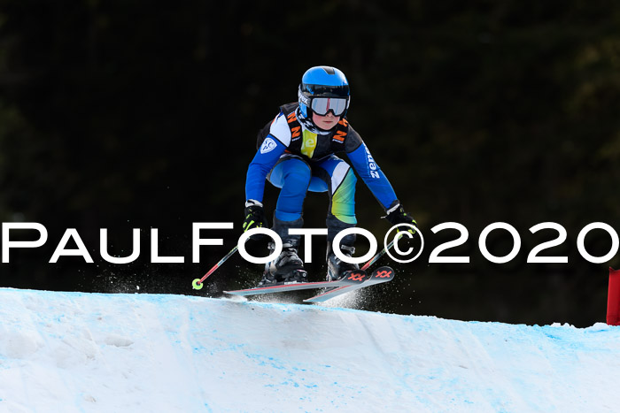 Ziener Kids Cross U12 + Reischmann Cup ASV/WF