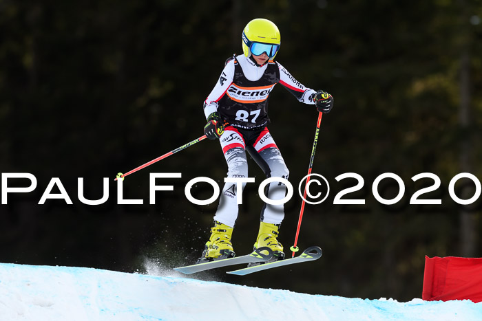 Ziener Kids Cross U12 + Reischmann Cup ASV/WF