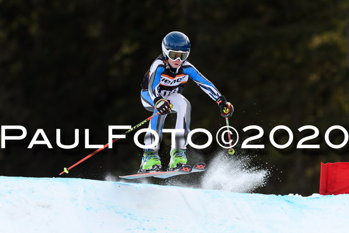 Ziener Kids Cross U12 + Reischmann Cup ASV/WF