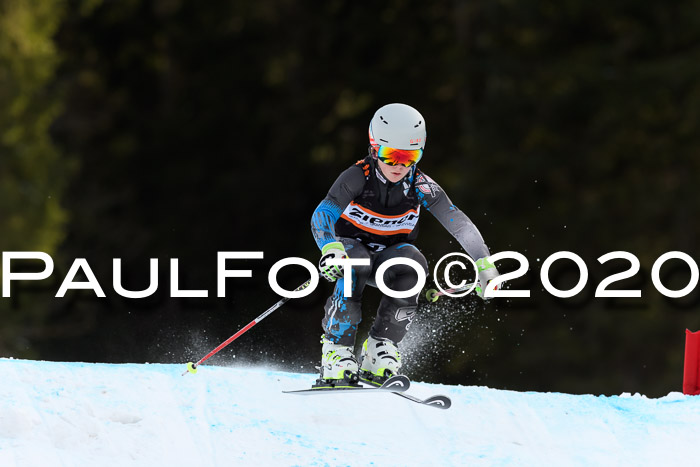 Ziener Kids Cross U12 + Reischmann Cup ASV/WF