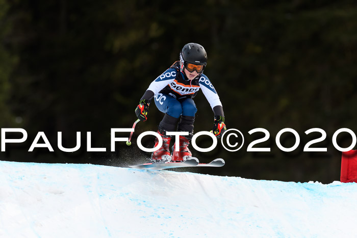 Ziener Kids Cross U12 + Reischmann Cup ASV/WF