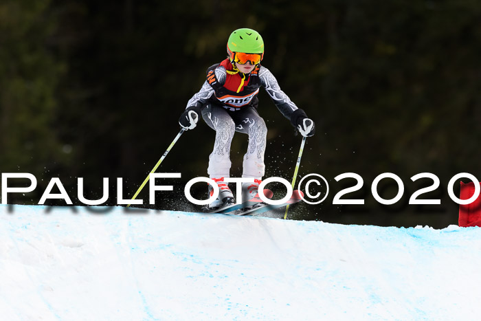 Ziener Kids Cross U12 + Reischmann Cup ASV/WF