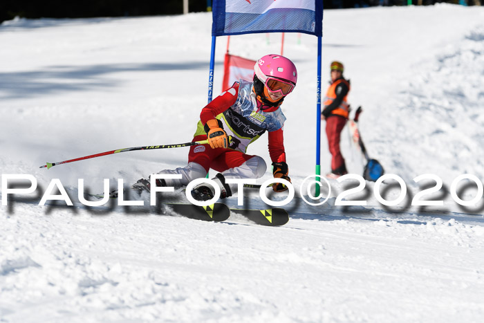 SBW - VR Talentiade Kids Cross Cup 3 - Region 2 08.02.2020
