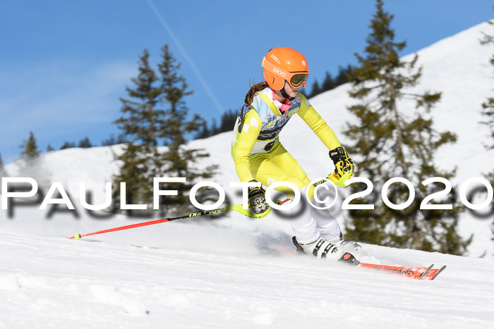 SBW - VR Talentiade Kids Cross Cup 3 - Region 2 08.02.2020