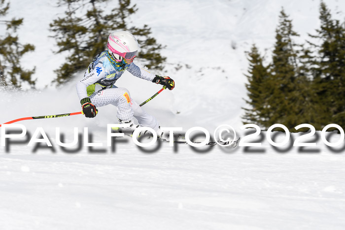 SBW - VR Talentiade Kids Cross Cup 3 - Region 2 08.02.2020