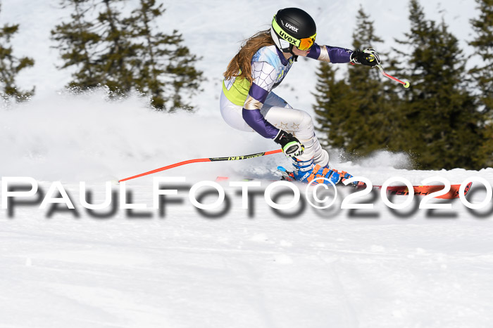 SBW - VR Talentiade Kids Cross Cup 3 - Region 2 08.02.2020