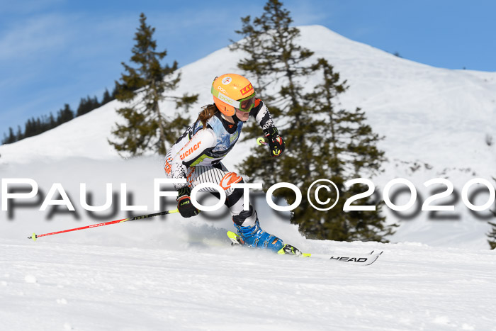 SBW - VR Talentiade Kids Cross Cup 3 - Region 2 08.02.2020