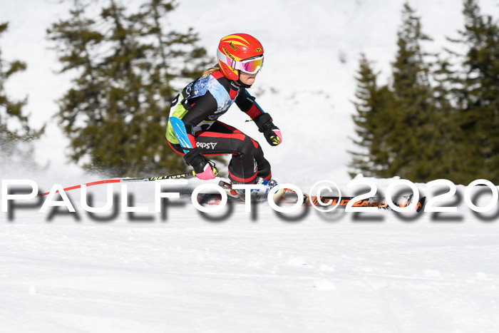SBW - VR Talentiade Kids Cross Cup 3 - Region 2 08.02.2020