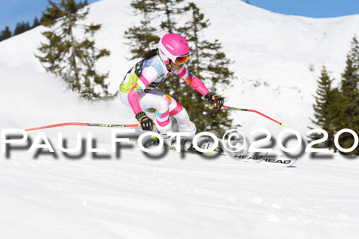 SBW - VR Talentiade Kids Cross Cup 3 - Region 2 08.02.2020