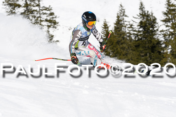 SBW - VR Talentiade Kids Cross Cup 3 - Region 2 08.02.2020
