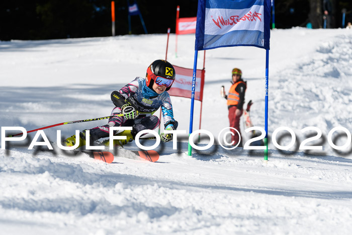SBW - VR Talentiade Kids Cross Cup 3 - Region 2 08.02.2020