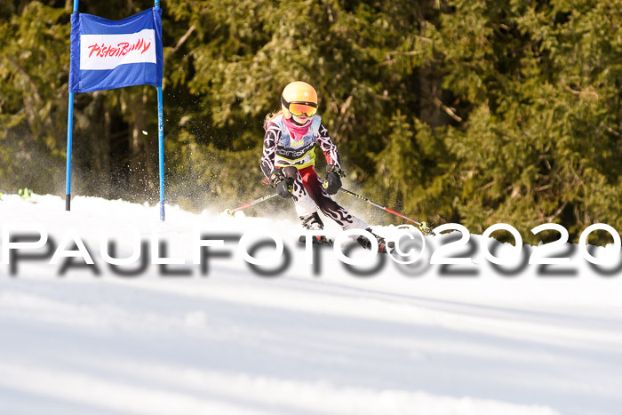 SBW - VR Talentiade Kids Cross Cup 3 - Region 2 08.02.2020