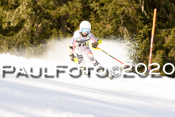 SBW - VR Talentiade Kids Cross Cup 3 - Region 2 08.02.2020