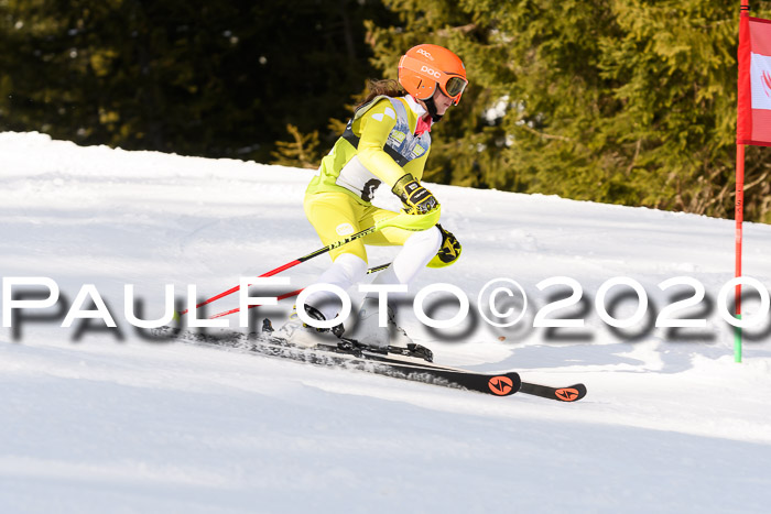 SBW - VR Talentiade Kids Cross Cup 3 - Region 2 08.02.2020
