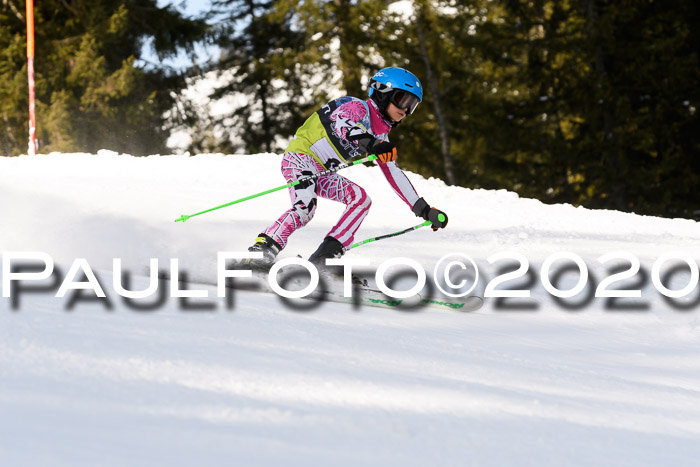 SBW - VR Talentiade Kids Cross Cup 3 - Region 2 08.02.2020
