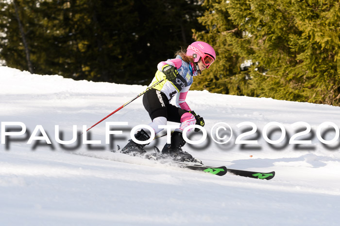 SBW - VR Talentiade Kids Cross Cup 3 - Region 2 08.02.2020