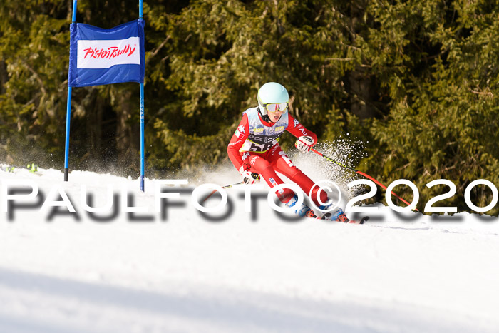 SBW - VR Talentiade Kids Cross Cup 3 - Region 2 08.02.2020