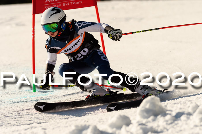 Ziener Kids-Cross M/OL U12 Race Cross IV 2020