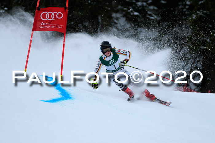 FIS Super-G, Damen + Herren, Rennen 1 + 2, 13.02.2020
