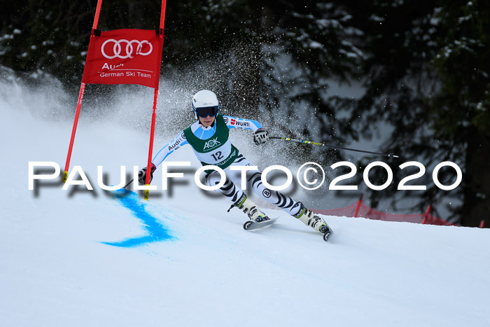 FIS Super-G, Damen + Herren, Rennen 1 + 2, 13.02.2020