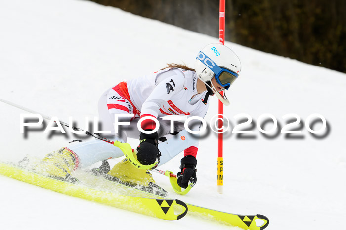 DSV Schülercup U14 IX SL 16.02.2020