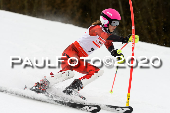 DSV Schülercup U14 IX SL 16.02.2020