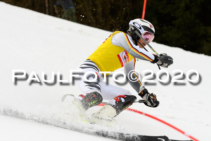 DSV Schülercup U14 IX SL 16.02.2020