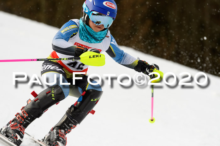 DSV Schülercup U14 IX SL 16.02.2020