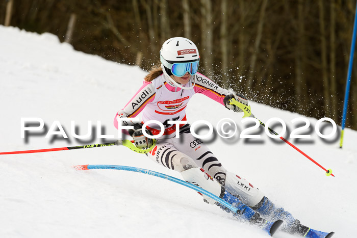 DSV Schülercup U14 IX SL 16.02.2020