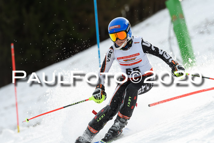 DSV Schülercup U14 IX SL 16.02.2020