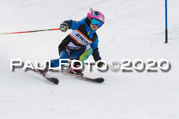 4. Ziener Cup 2020