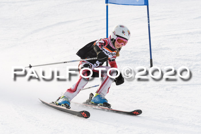 4. Ziener Cup 2020