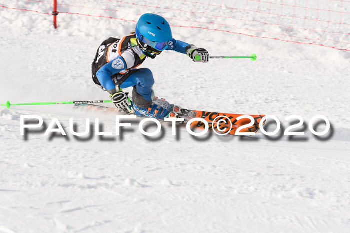 4. Ziener Cup 2020