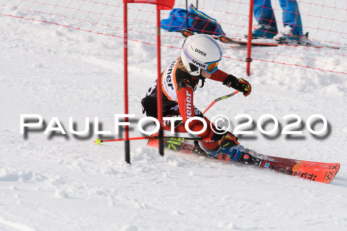 4. Ziener Cup 2020