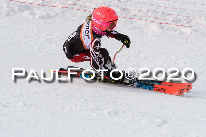 4. Ziener Cup 2020