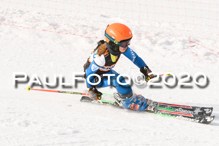 4. Ziener Cup 2020