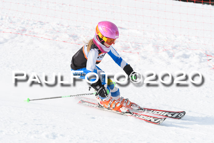 4. Ziener Cup 2020