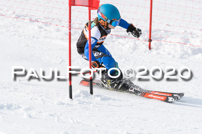 4. Ziener Cup 2020