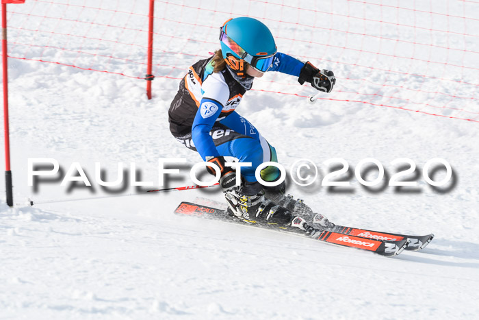 4. Ziener Cup 2020