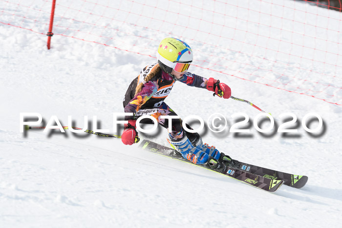 4. Ziener Cup 2020