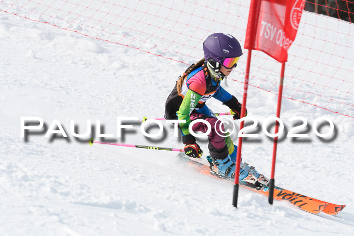 4. Ziener Cup 2020