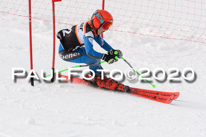 4. Ziener Cup 2020