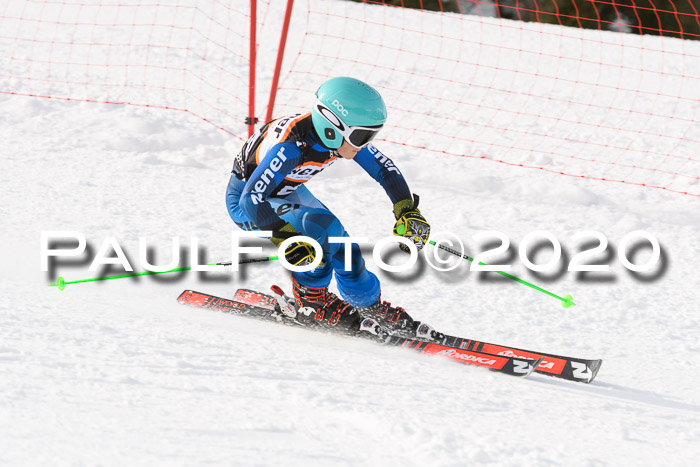 4. Ziener Cup 2020