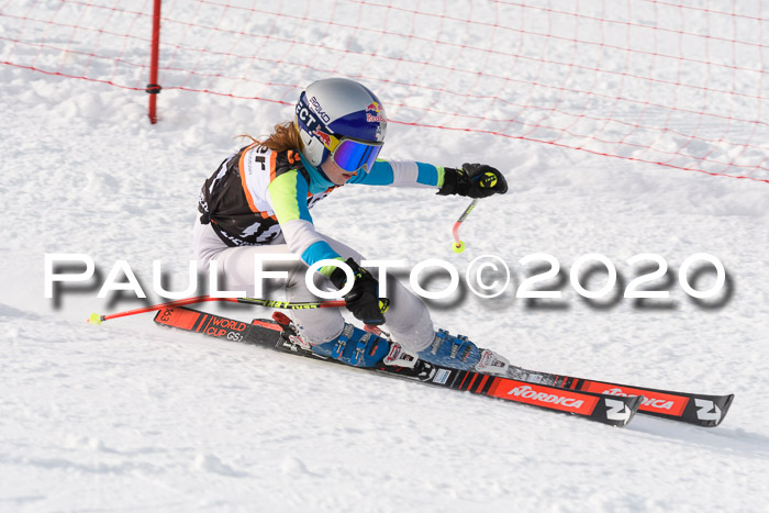 4. Ziener Cup 2020