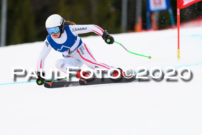 NJC  + FIS SG Damen, Götschen, 17.02.2020