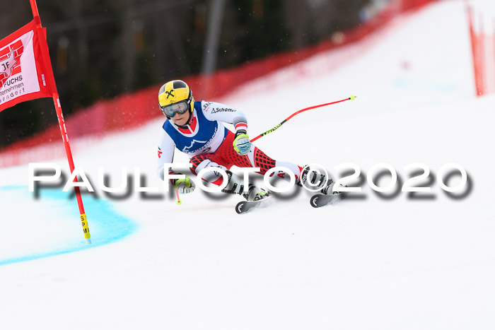 NJC  + FIS SG Damen, Götschen, 17.02.2020