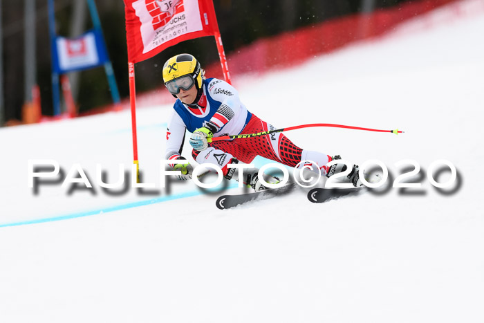 NJC  + FIS SG Damen, Götschen, 17.02.2020
