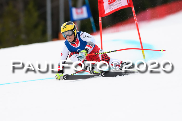 NJC  + FIS SG Damen, Götschen, 17.02.2020