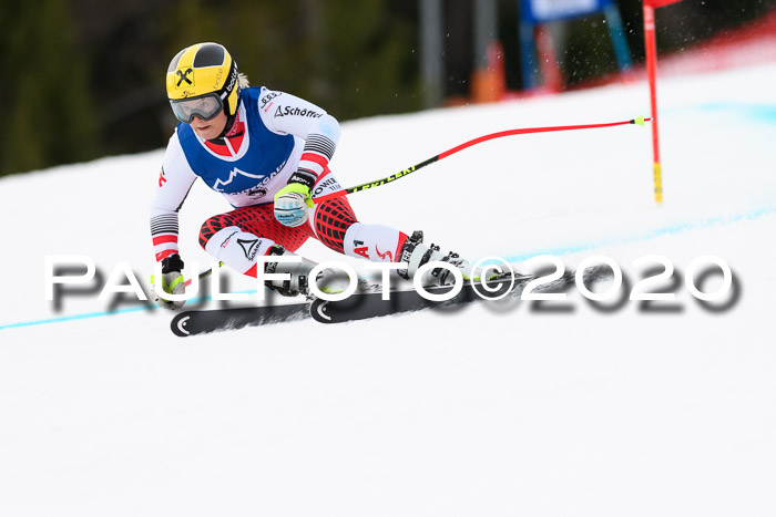 NJC  + FIS SG Damen, Götschen, 17.02.2020