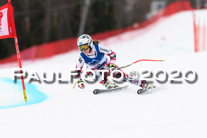 NJC  + FIS SG Damen, Götschen, 17.02.2020